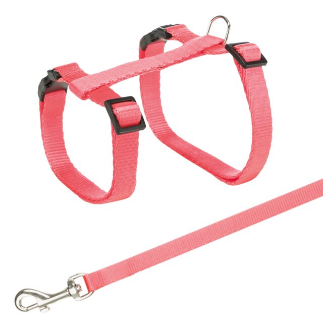 [4142] Kattentuig met riem, kattenmotief, 27–45 cm/10 mm, 1,20 m, diverse