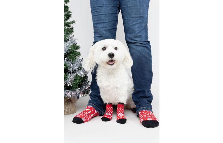 [525651] KERST MATCHING SOKKEN KEYSA ROOD