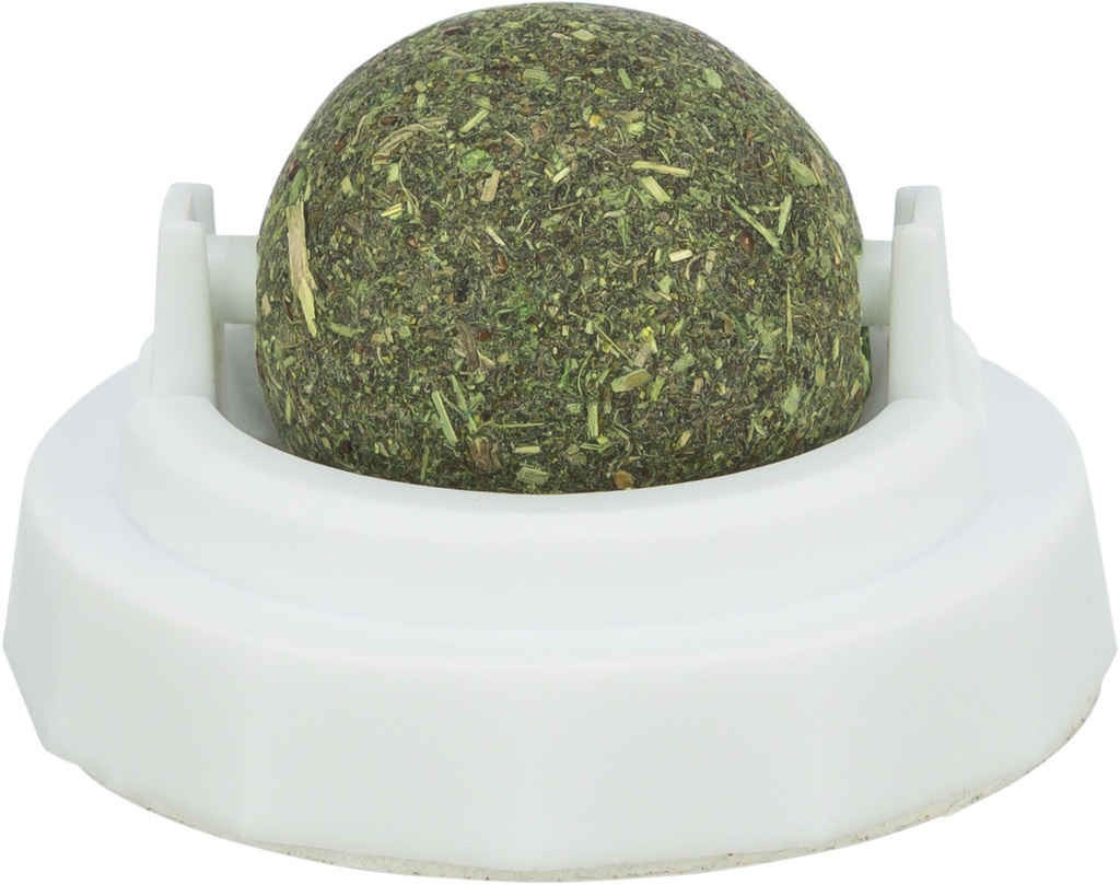Catnip bal met houder, ø 5 cm