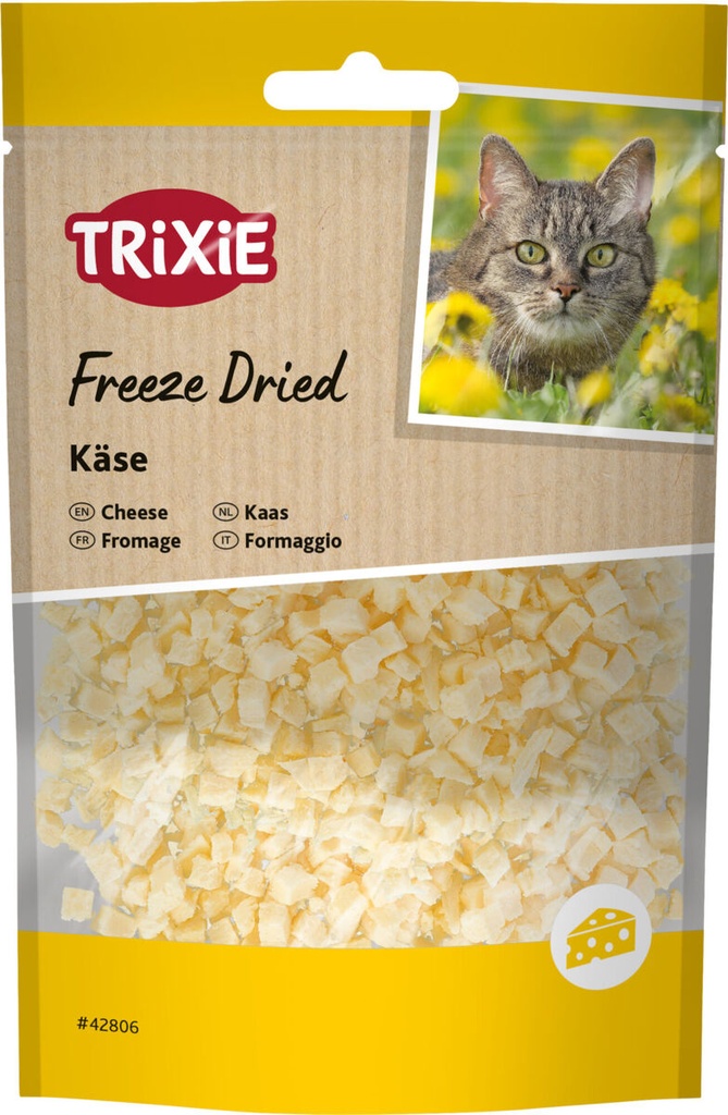 [42806] Freeze Dried kaas, 25 g