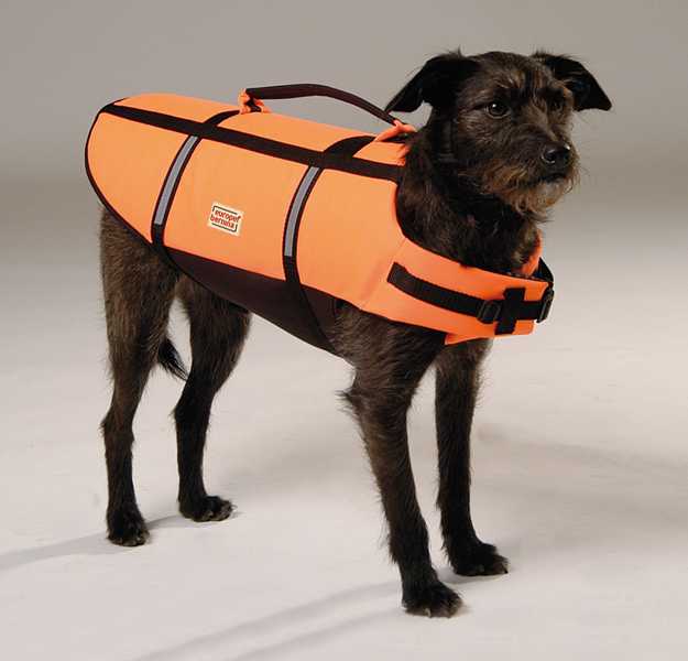 [BR_126387] Honden Zwemvest XL 45 cm