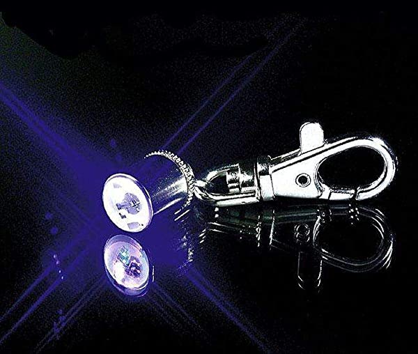 Blinkerlamp voor halsband