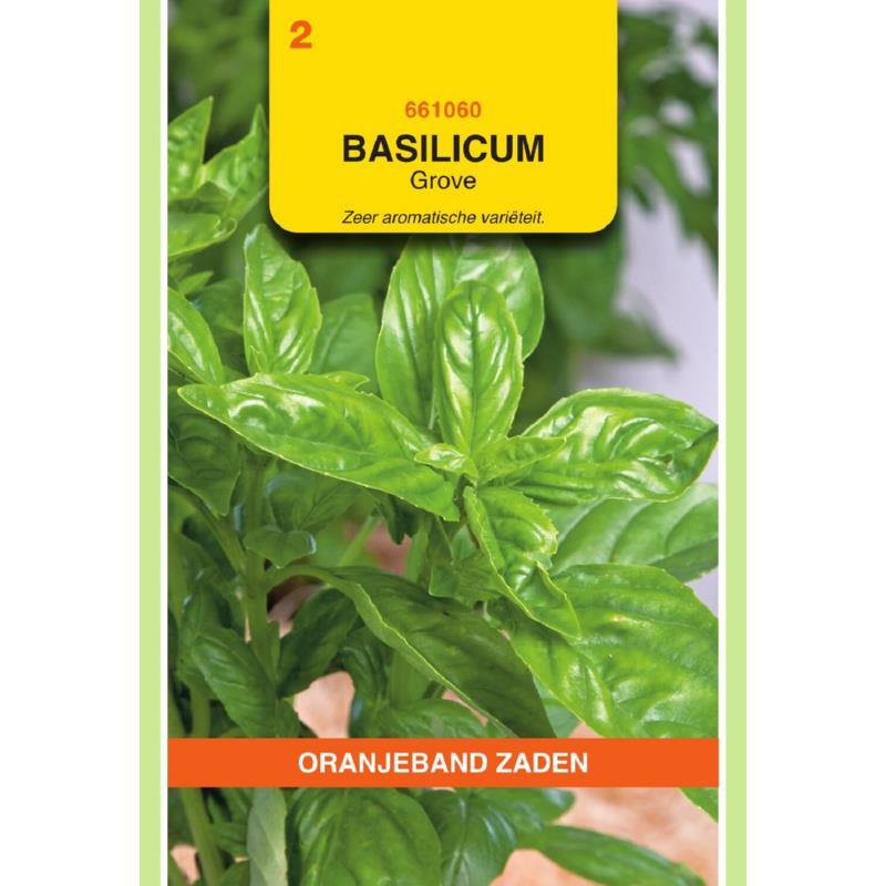 [661060] OBZ Basilicum Grove