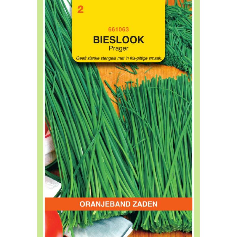 [661063] OBZ Bieslook Prager (fijne)