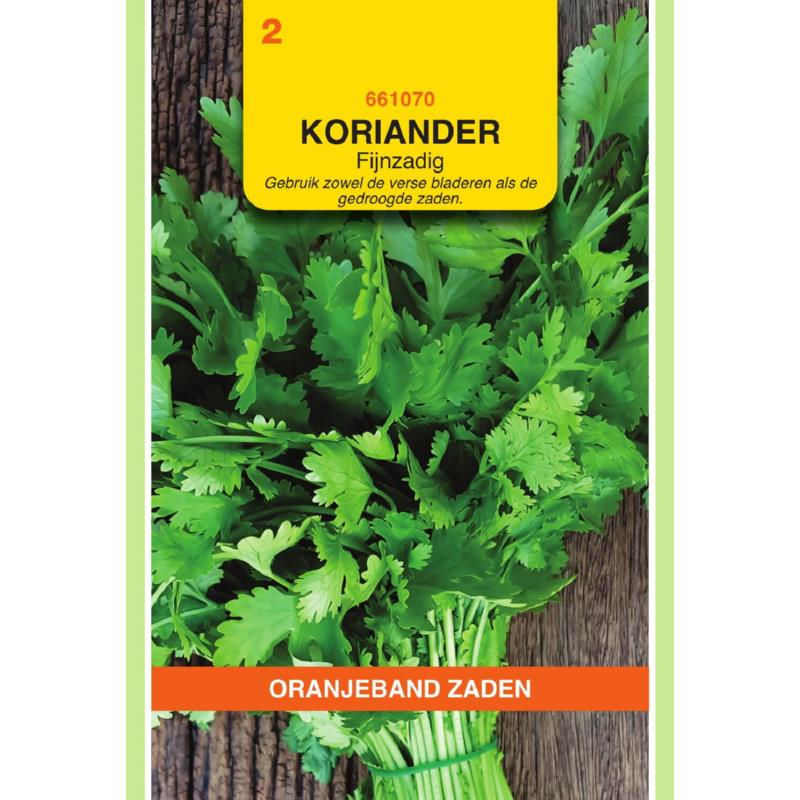 OBZ Koriander