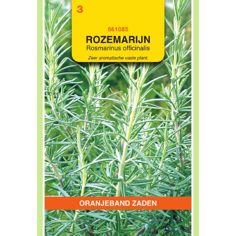 [661085] OBZ Rozemarijn