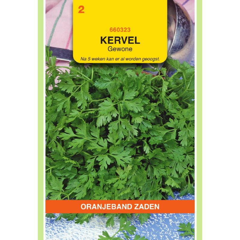 [BR_155588] OBZ Kervel Gewone