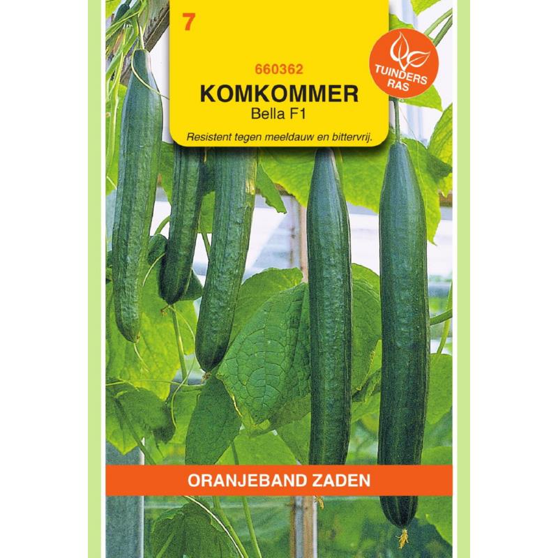[660362] OBZ Komkommer Bella F1