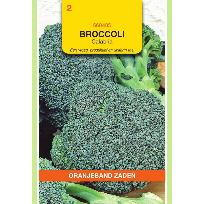 [BR_155592] OBZ Broccoli Calabria