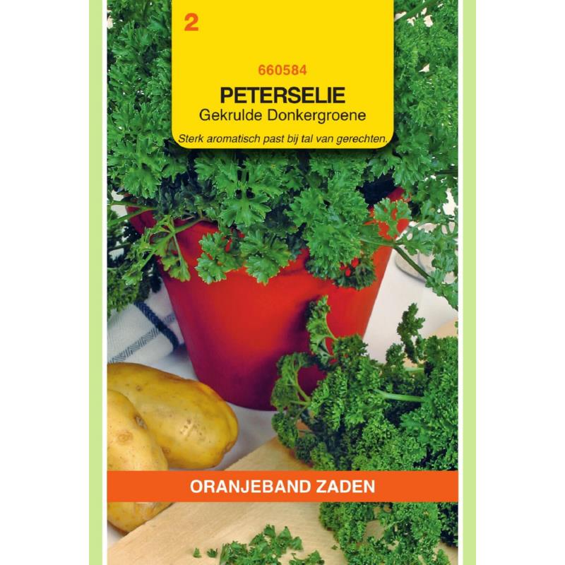 OBZ Peterselie Gekrulde Donkergroene