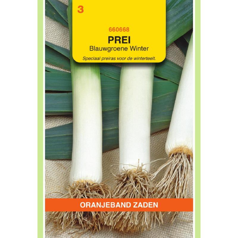 [660668] OBZ Prei Blauwgroene Winter