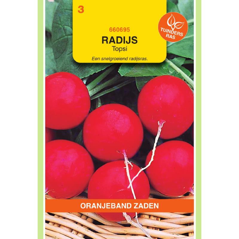 OBZ Radijs Topsi
