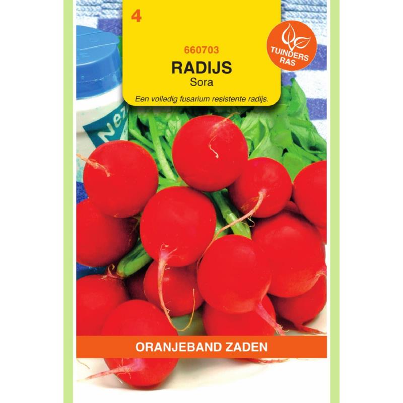 [BR_155608] OBZ Radijs Sora