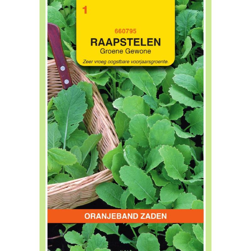 [660795] OBZ Raapstelen Groene Gewone