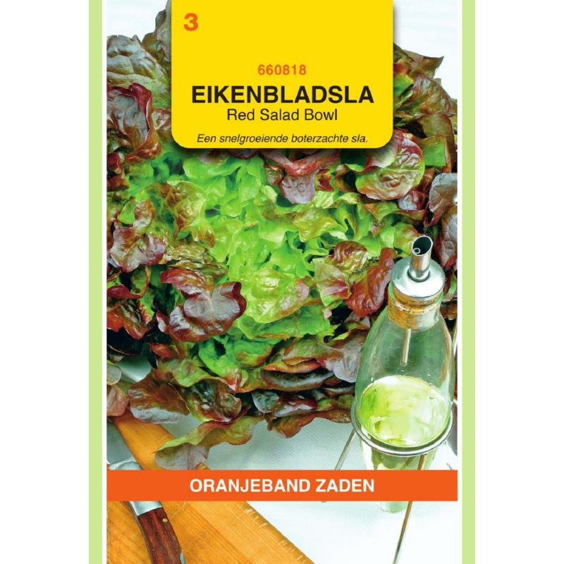[660818] OBZ Red Salad Bowl - Rode Eikenbladsla