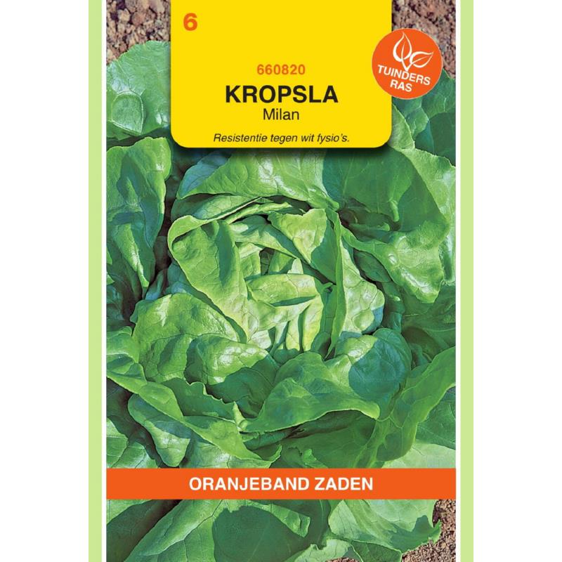 [660820] OBZ Kropsla Milan