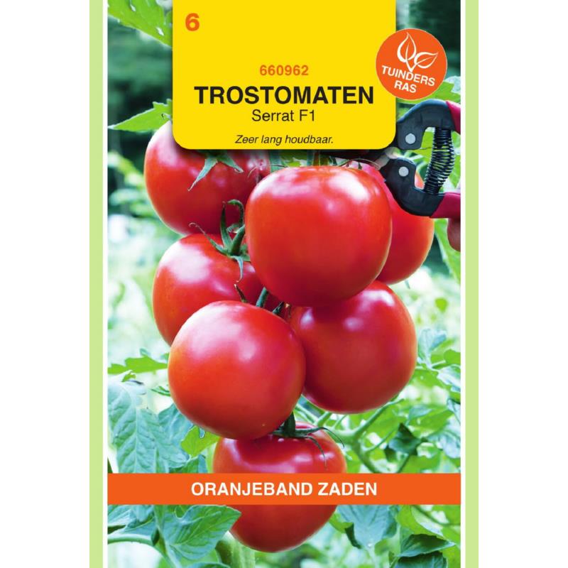 OBZ Tomaten Serrat F1