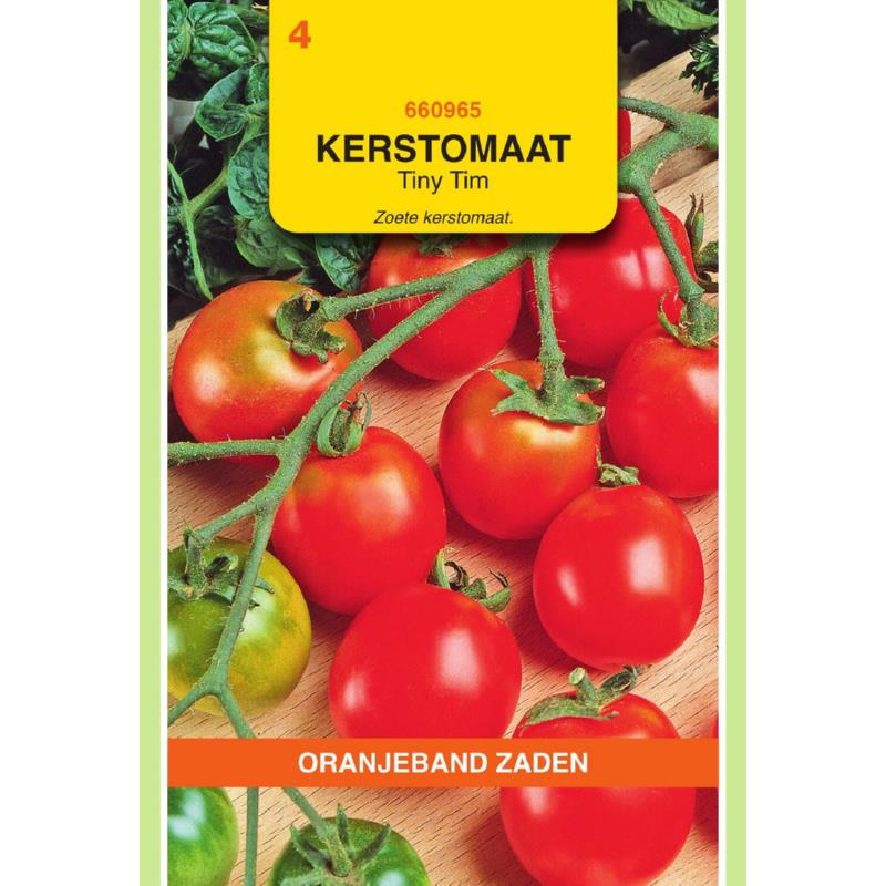 [BR_155630] OBZ Tomaten Tiny Tim (Kers-/Balkontomaten)