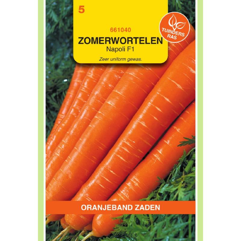[BR_155642] OBZ Wortelen Laguna F1