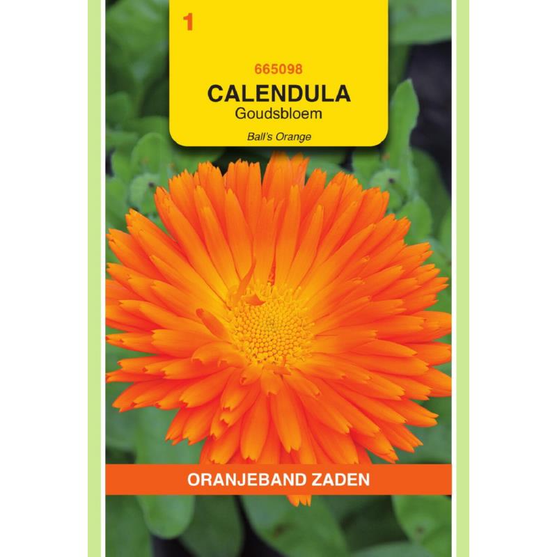 [665098] OBZ Calendula, Goudsbloem Ball's Orange