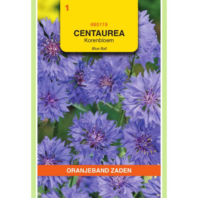 [665119] OBZ Centaurea, Korenbloem Blue Ball