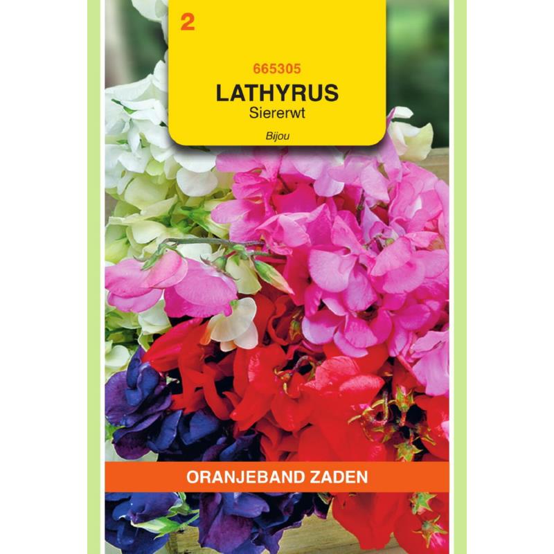OBZ Lathyrus, Reuk- of siererwt Bijou gemengd