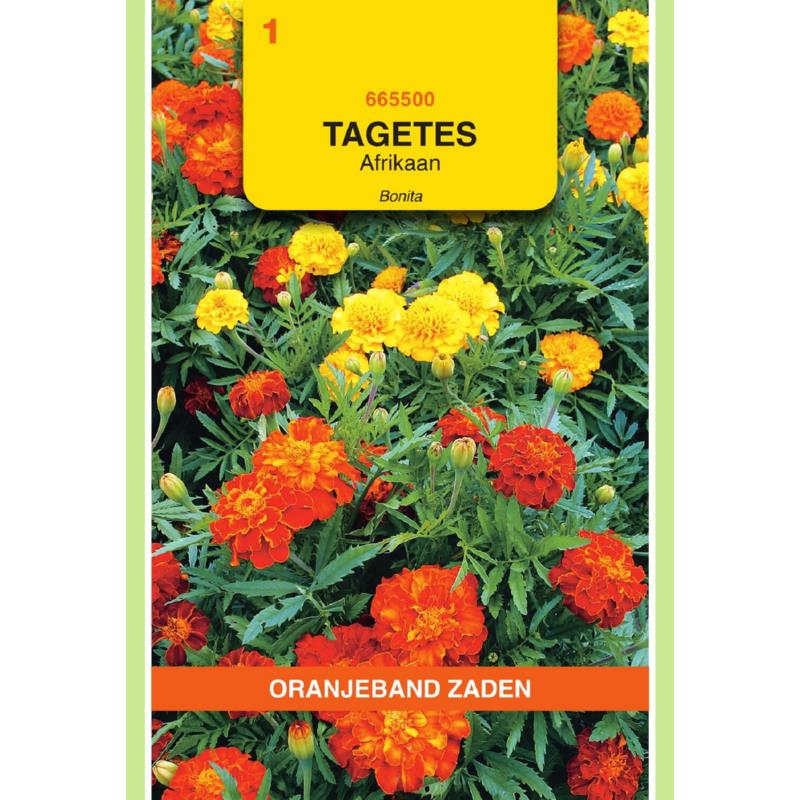 [665500] OBZ Tagetes, Afrikaan Bonita gemengd