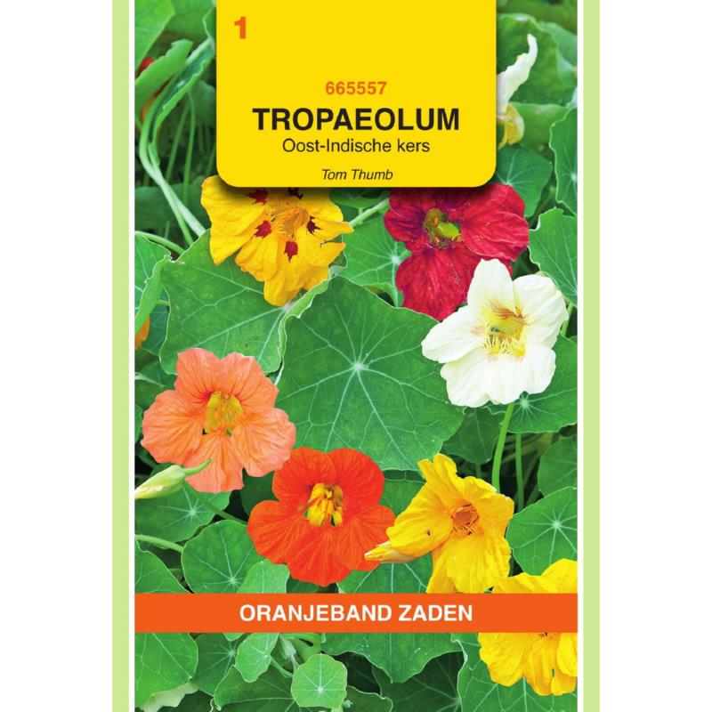 [665557] OBZ Tropaeolum, Oost-Indische kers Tom Thumb enkelbl.gemengd