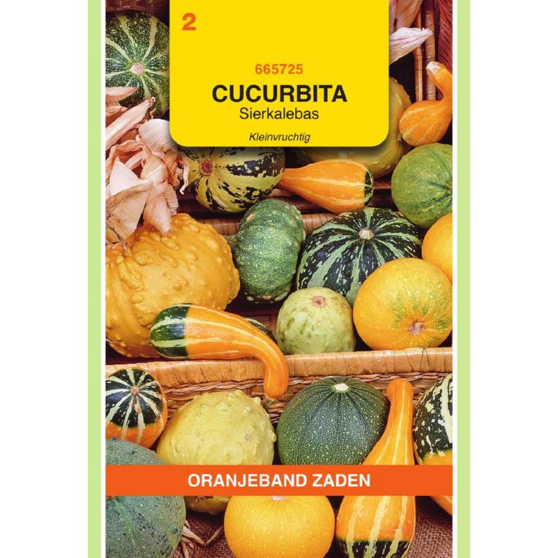 [665725] OBZ Cucurbita, Sierkalebas kleinvruchtig gemengd