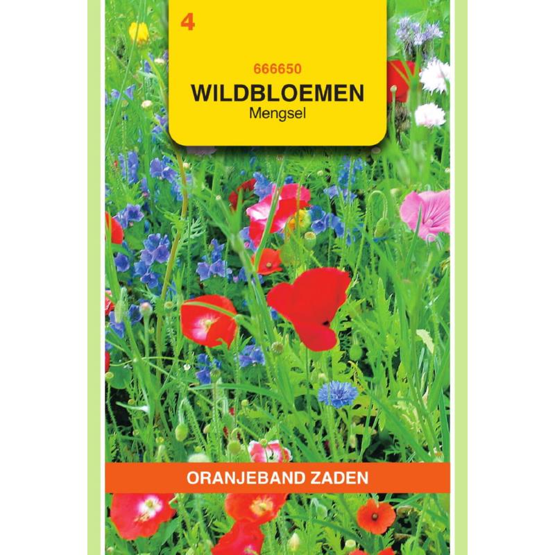 OBZ Wildbloemen mengsel eenjarig - 10 m²