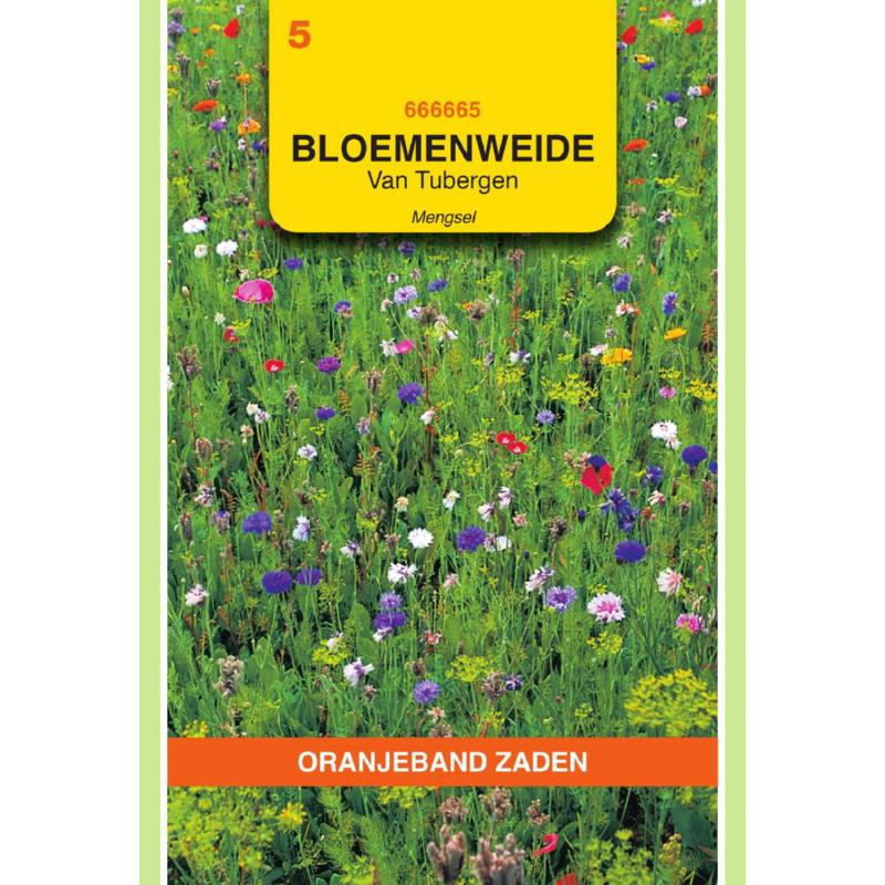 [666665] OBZ Van Tubergen bloemenweide mengsel