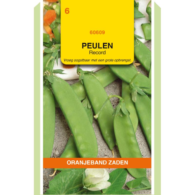 [660609] OBZ Peulen Record, 100g