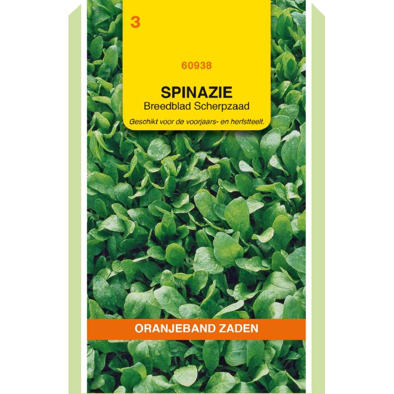 [660938] OBZ Spinazie Breedblad Scherpzaad, 50g