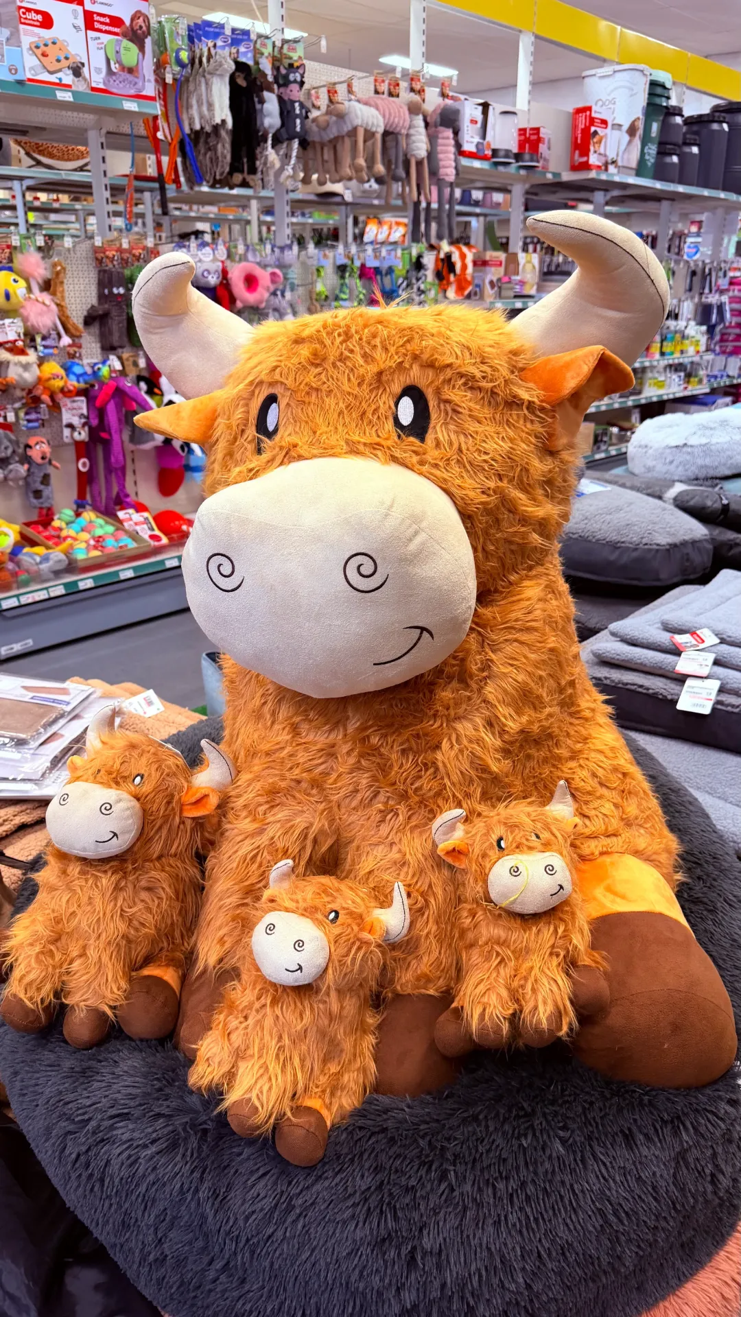 Knuffel Schotse Hooglander 1mtr