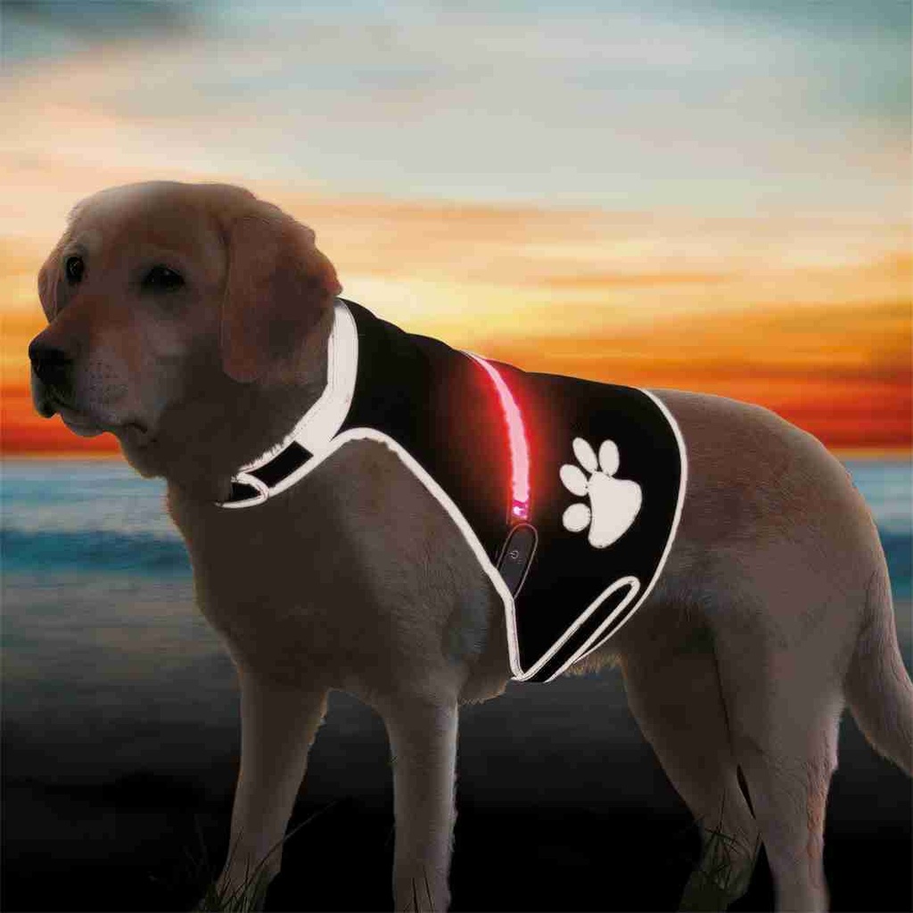 [BR_198422] USB Flash Veiligheidsvest, S: 36–58 cm, zwart