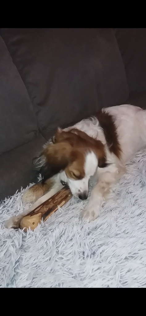 Ruffwood Koffie large