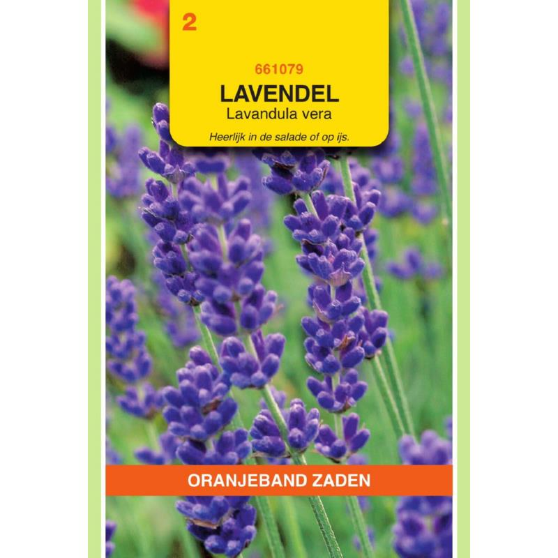 [BR_203977] OBZ Lavendel