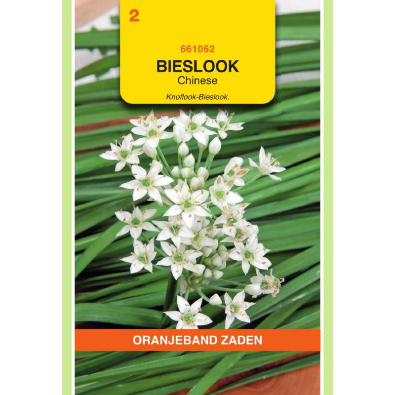 OBZ Bieslook Chinese
