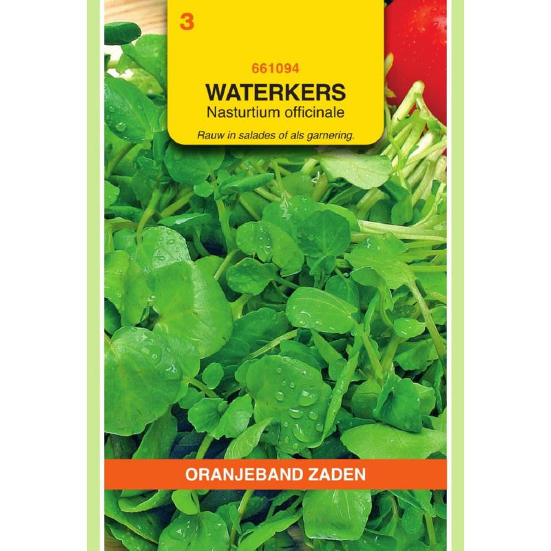 OBZ Waterkers Groodbladige