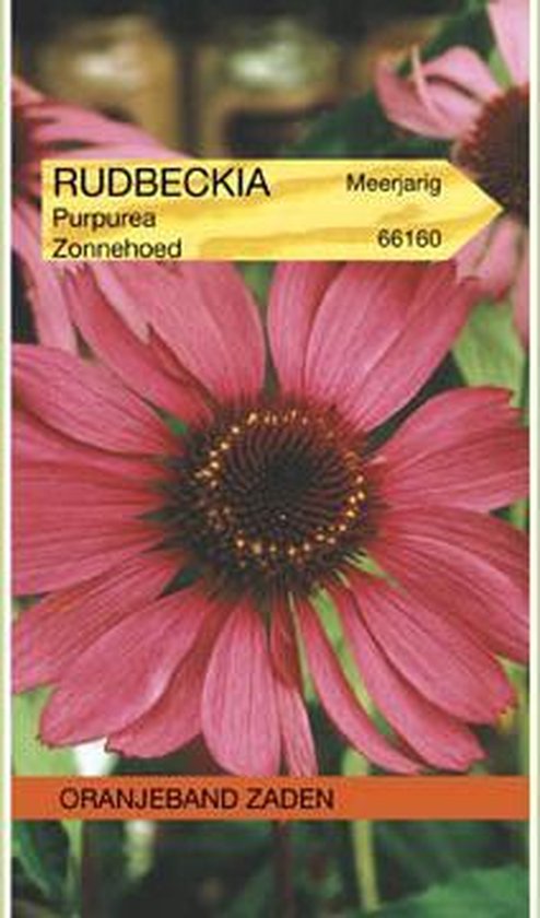 [BR_215495] OBZ Rudbeckia, Zonnehoed Echinacea
