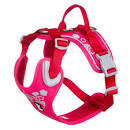 [022 8536] HARNESS W.WAR. RUBY 45-60 CM 934111