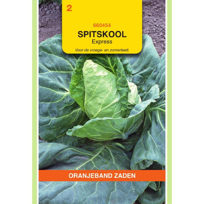 [660454] OBZ Spitskool Express