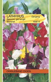 OBZ Lathyrus, Reuk- of siererwt Spencer gemengd