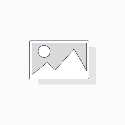 Steekschep Metalen Steel, D Handvat