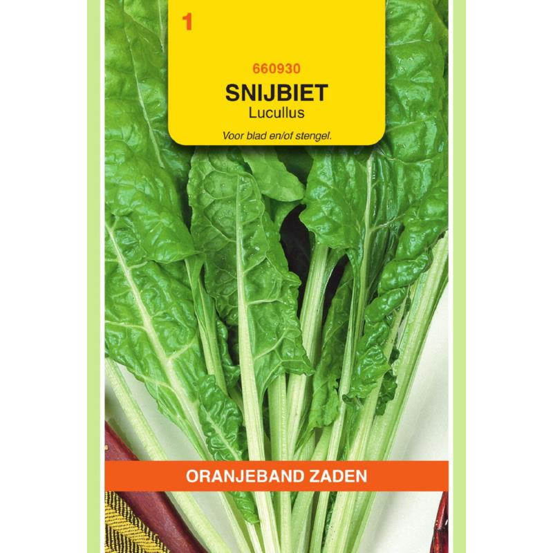[660930] OBZ Snijbiet Lucullus